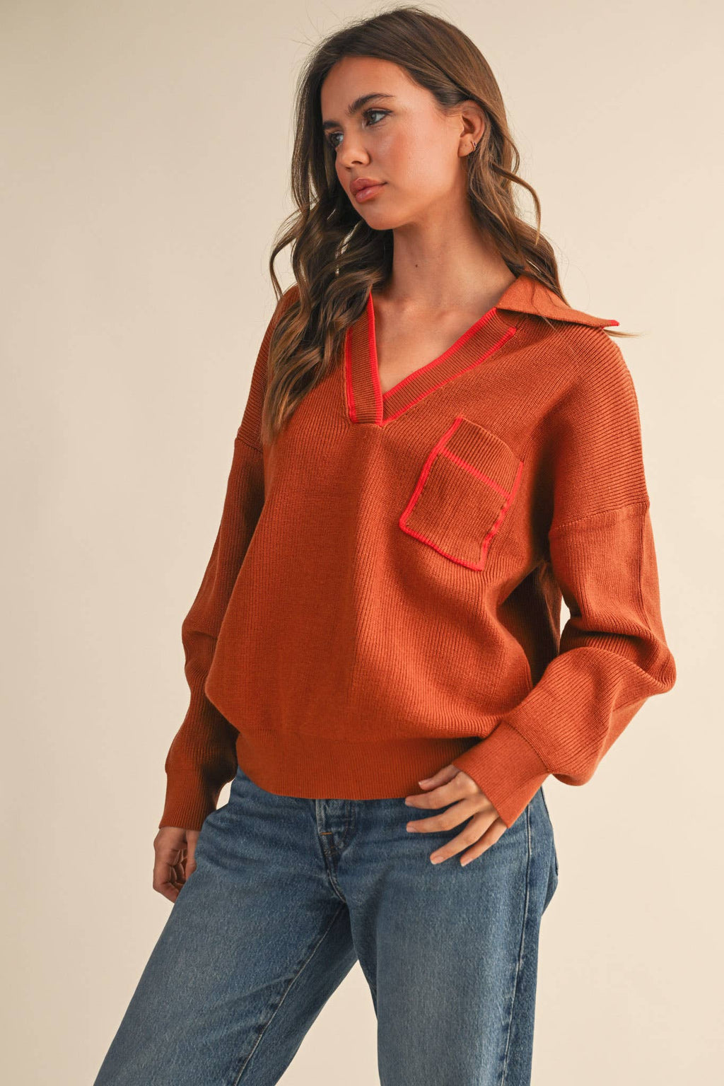 Ribbed Collar Pull Over Sweater