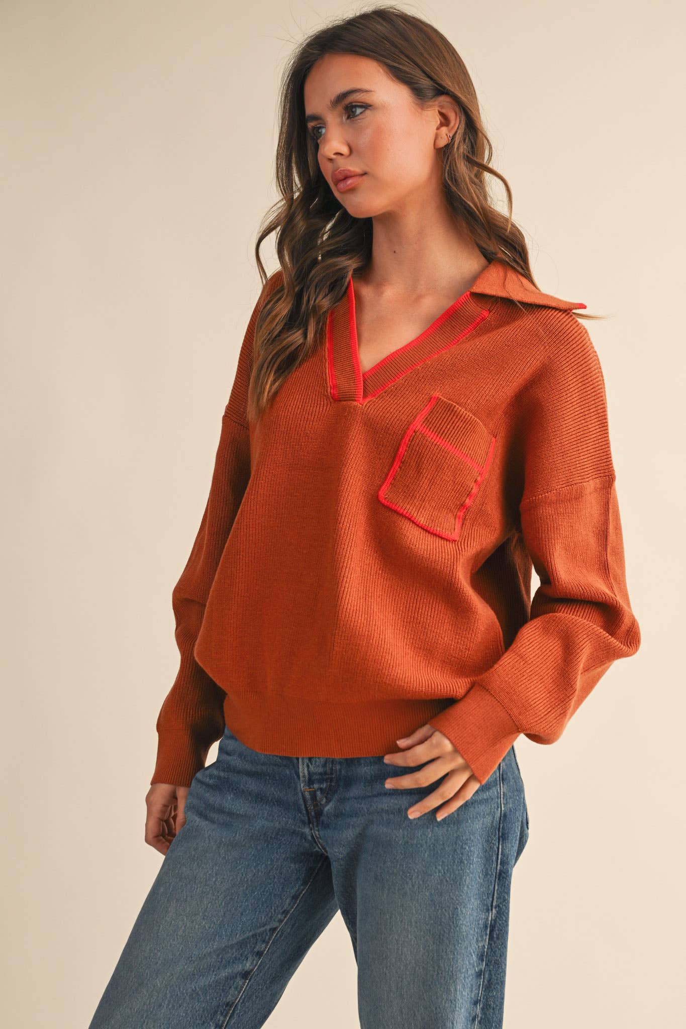 Ribbed Collar Pull Over Sweater
