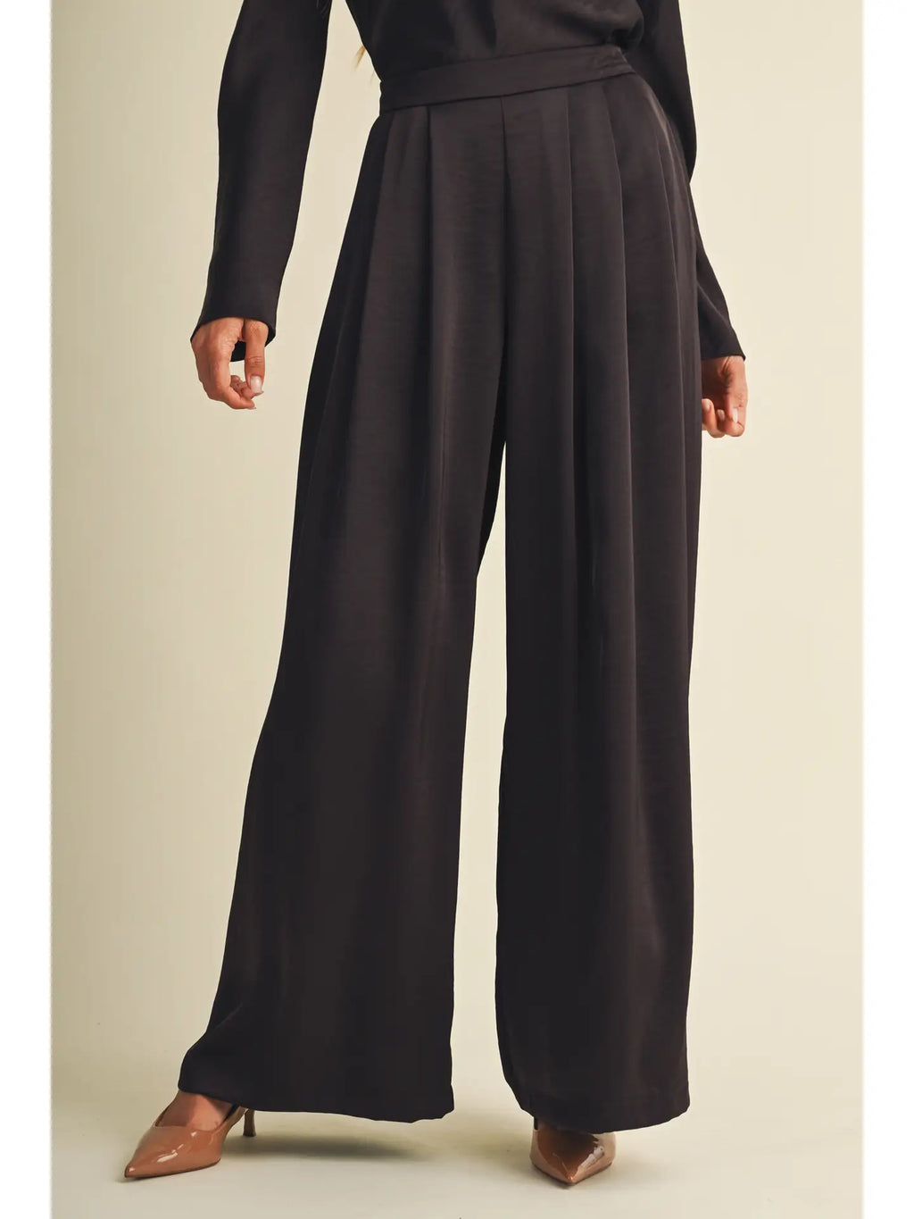 Pleat Front High Waisted Pant