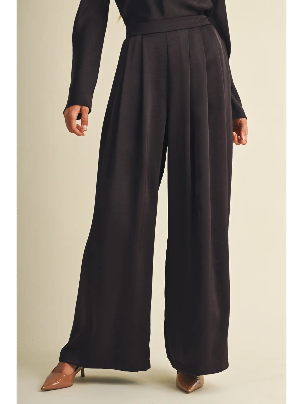 Pleat Front High Waisted Pant